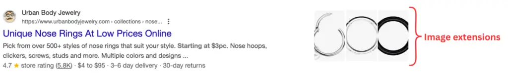 Image Extension for Jewelry Search Ad